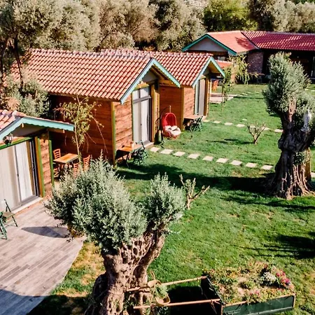 Bed and breakfast Serender Bungalov