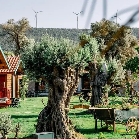 Bed and breakfast Serender Bungalov