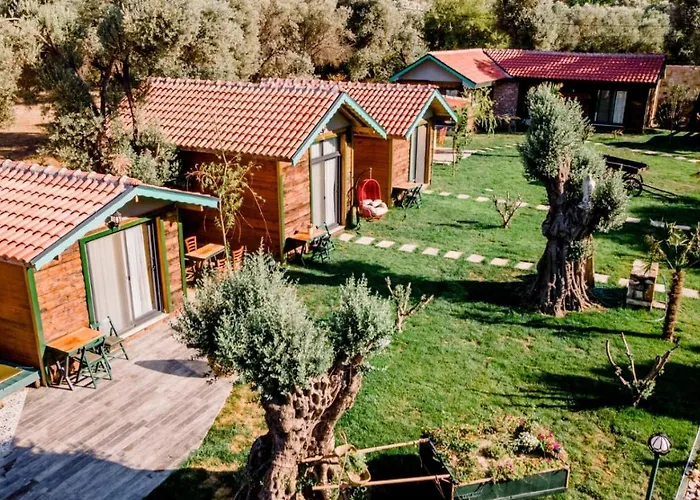 Bed & Breakfast Serender Bungalov