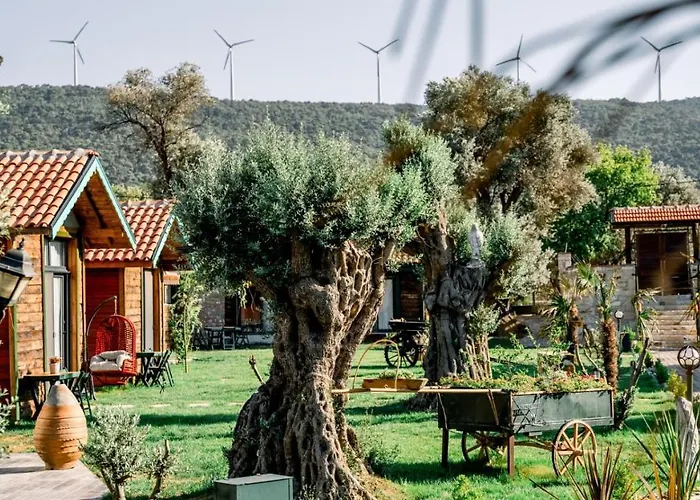 Bed & Breakfast Serender Bungalov